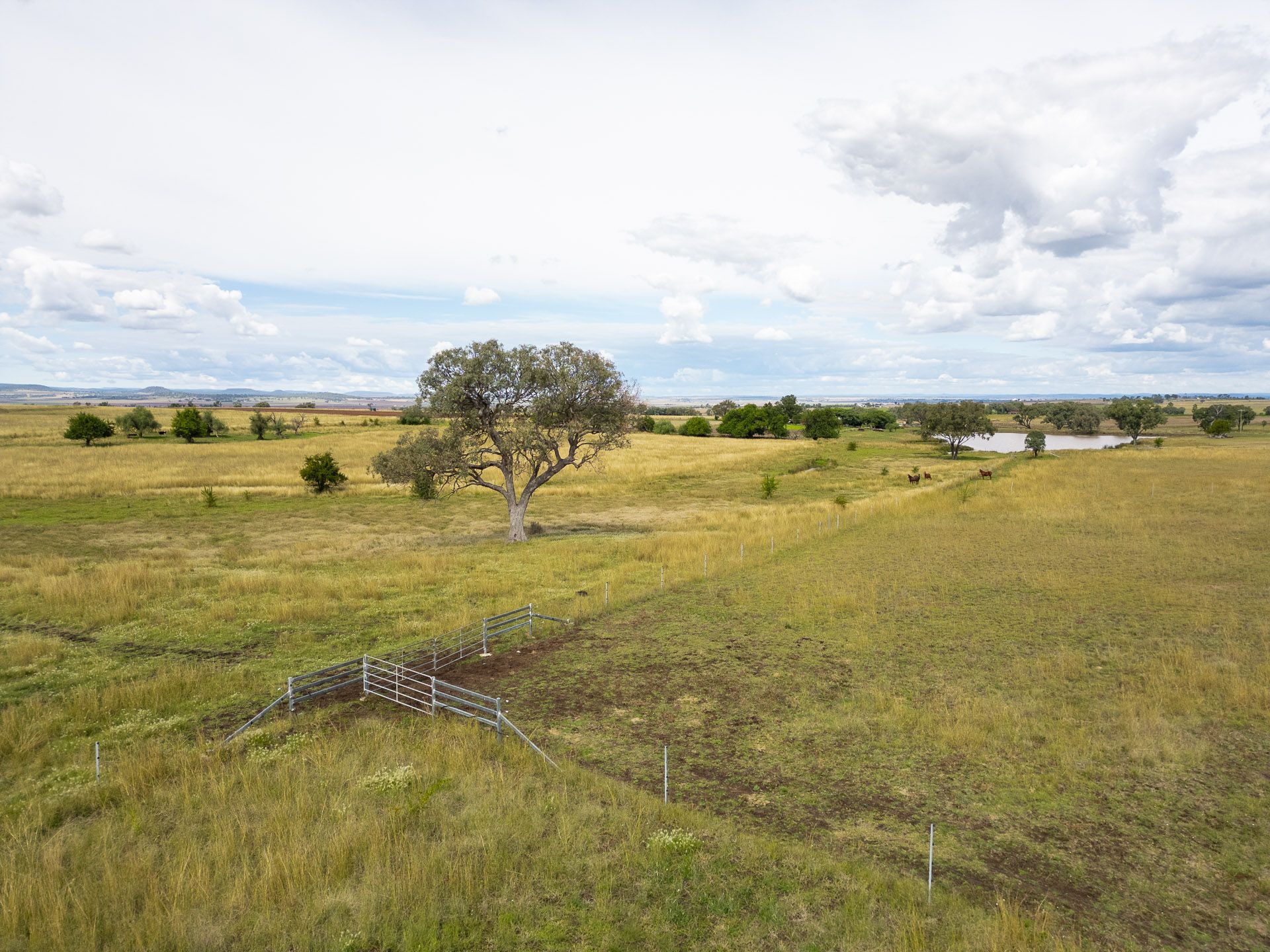 79 BARLOW RD, GREENMOUNT QLD 4359, 0 phòng ngủ, 0 phòng tắm, Lifestyle Property