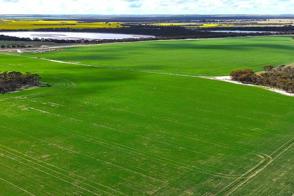 West Fitzgerald  The Estate of MP Slade:
'Graingers'