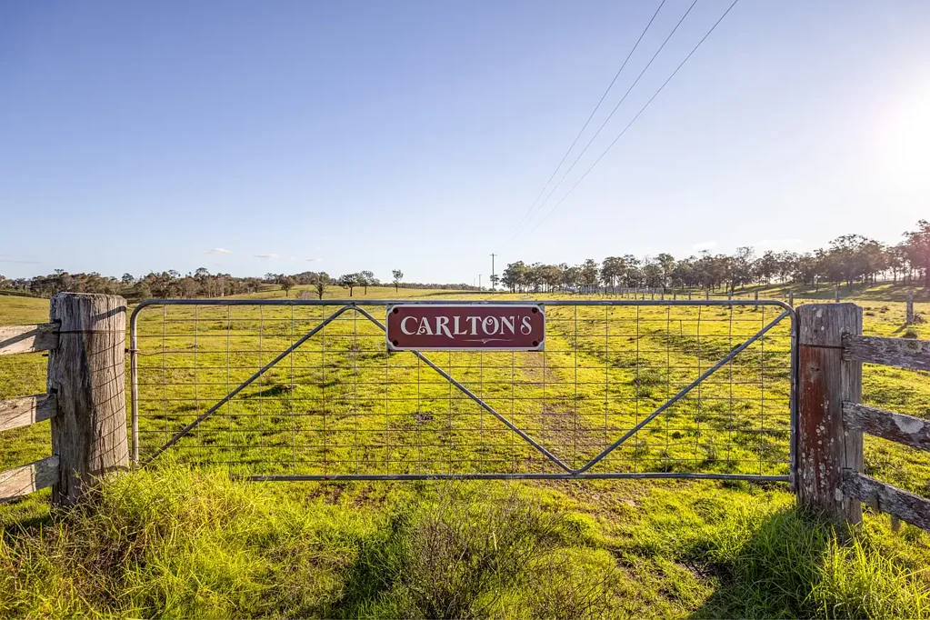 Dungog Your Masterpiece Awaits