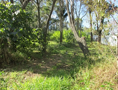 150 High Central Road, Macleay Island, Redland City Region, 0 침실, 0 욕실, Section