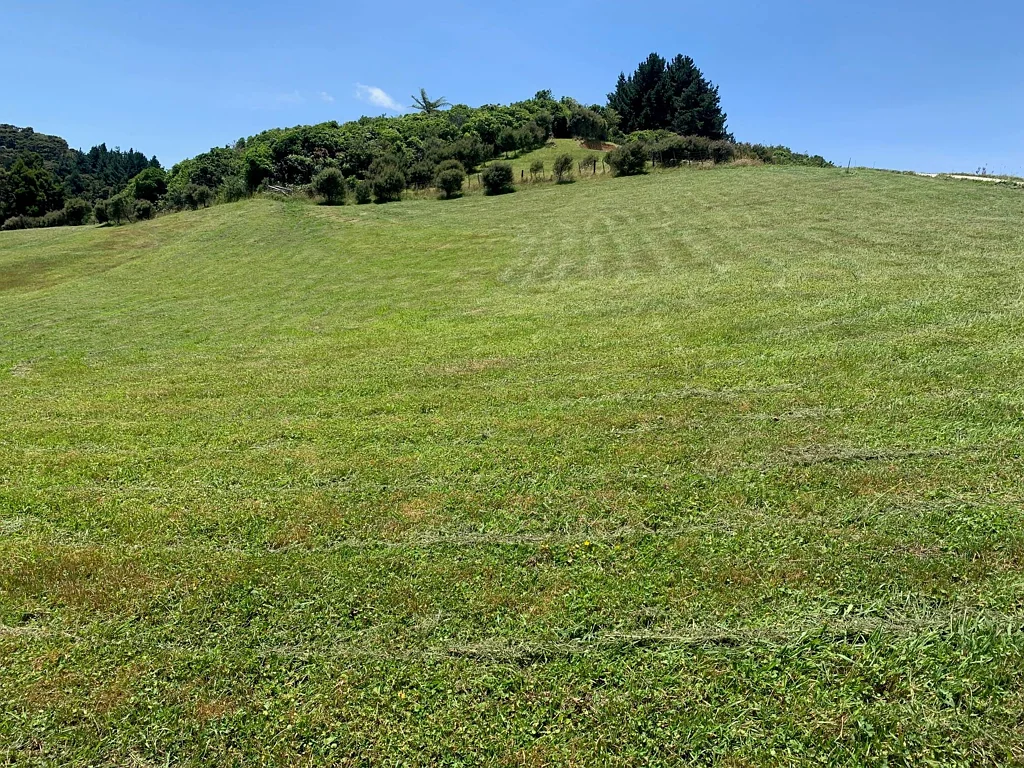 Puhoi  Price Reduction - Vendor wants it Sold!