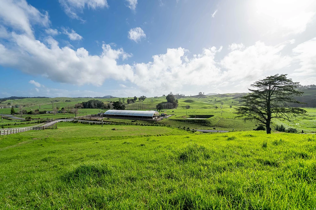 Maungakaramea Lifestyle loving