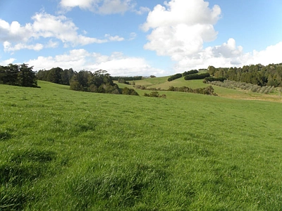 Rural  Rural Production Zone