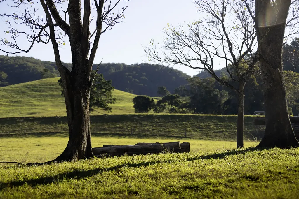 Peachester  Working Farm set on 300+ Acres! Multiple Dams, Stanley River Frontage & Mountain Views!