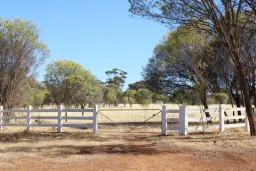 Lot 135 & 136 Nippering North Road, Dumbleyung