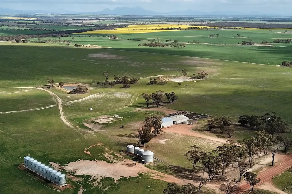 Nalyerlup The Estate of MP Slade (Blacks)