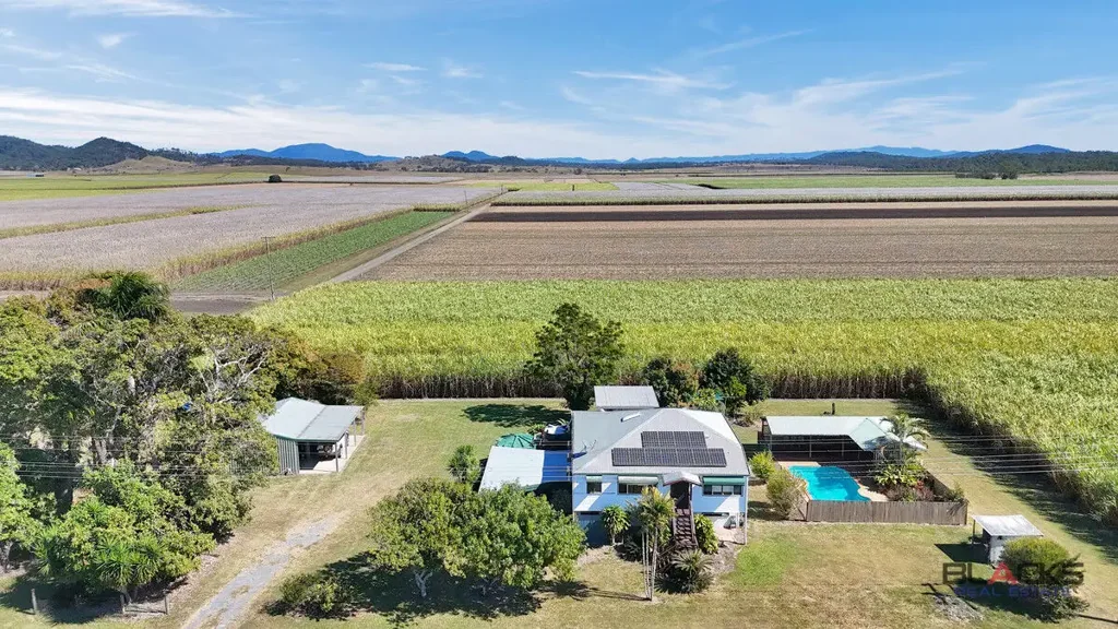 Sandiford 3غرفة نوم Timeless Queenslander Charm on Half an Acre with Pool, Shed & Dual Living Potential