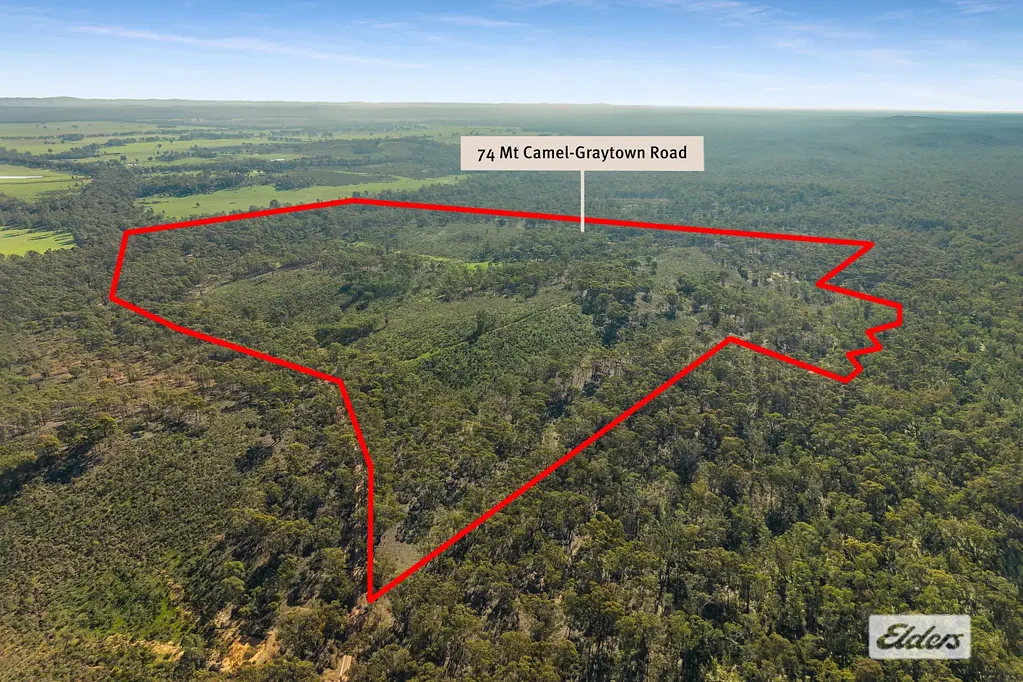 Graytown 168 Acres - Lifestyle, Camping, & Grazing