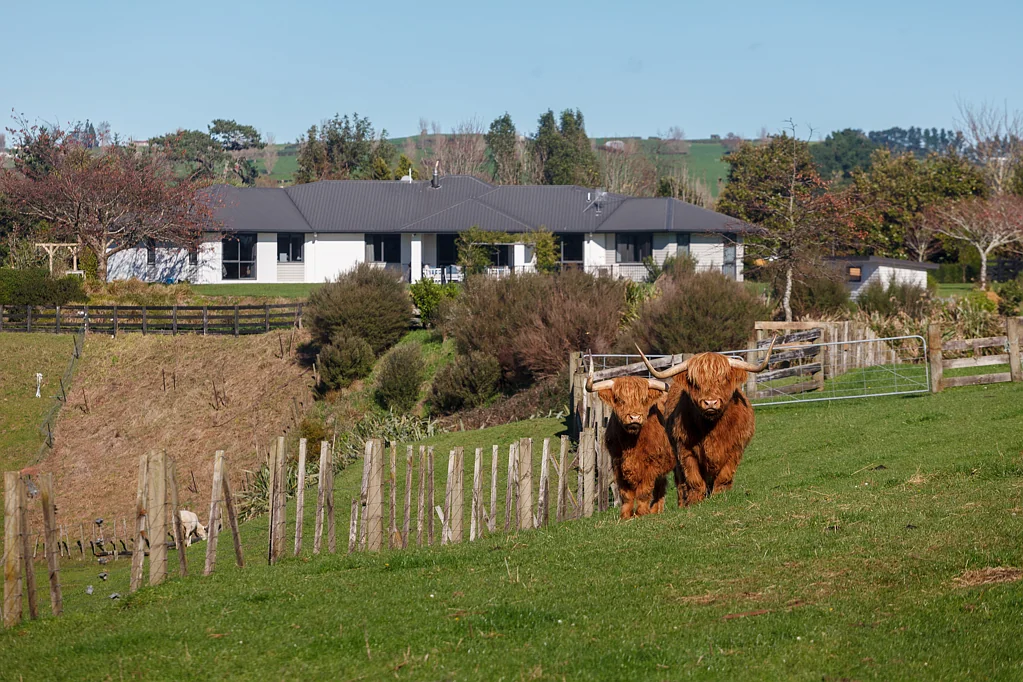Matamata Your country dream starts here