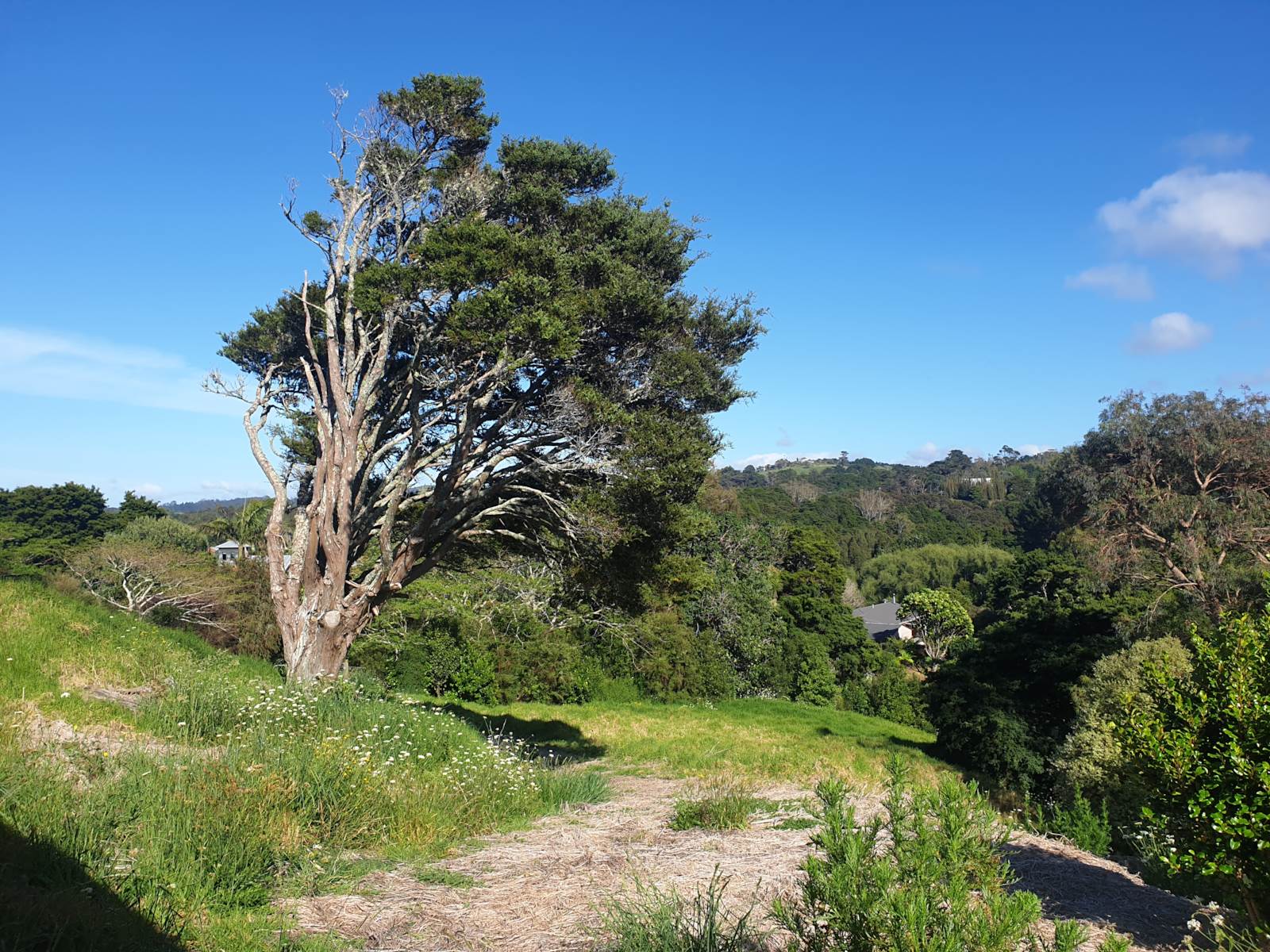 10 Sunset Parade (Pvt), Parua Bay, Whangarei, 0房, 0浴, Section