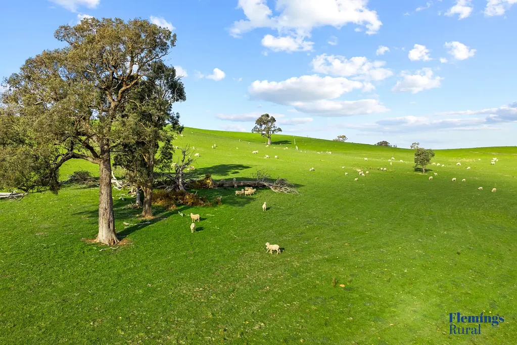 Rugby Prime Mixed-Farming Opportunity