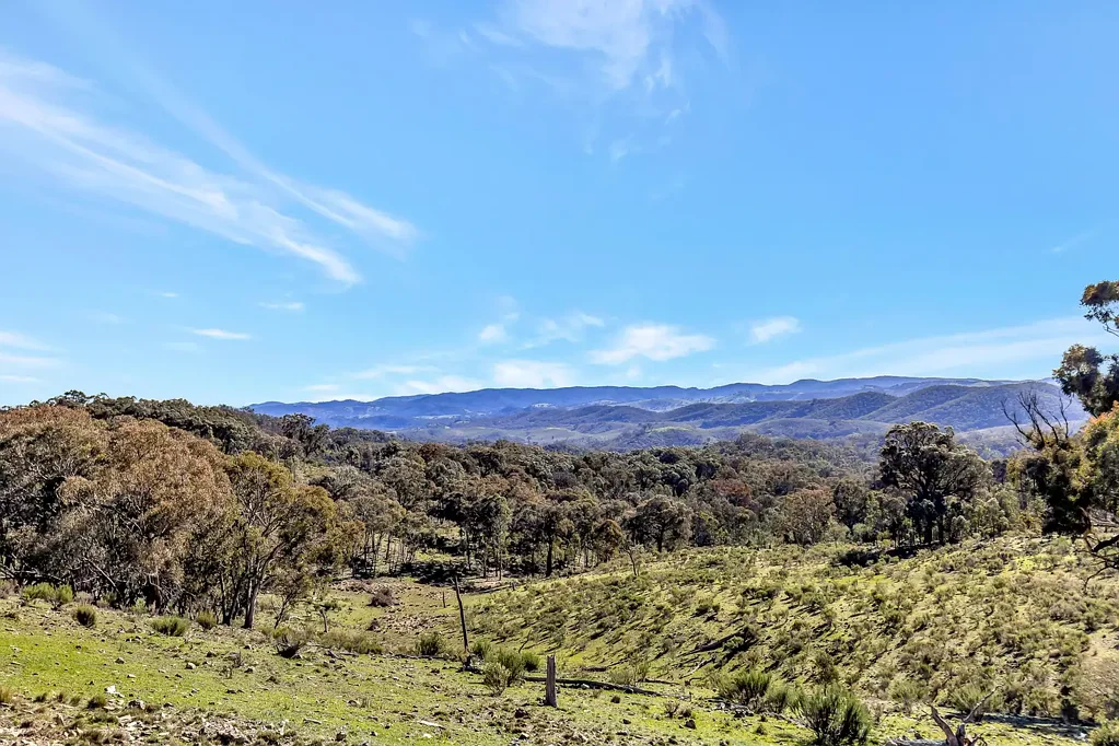 954 Pyramul Road, Mudgee, NSW 2850, 0房, 0浴, Lifestyle Property