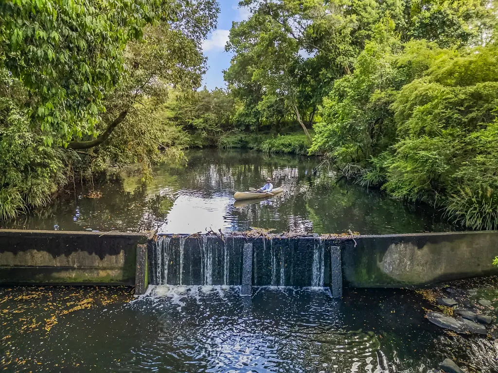 Dyers Crossing  'Beeandee' - Privacy - Position - Potential