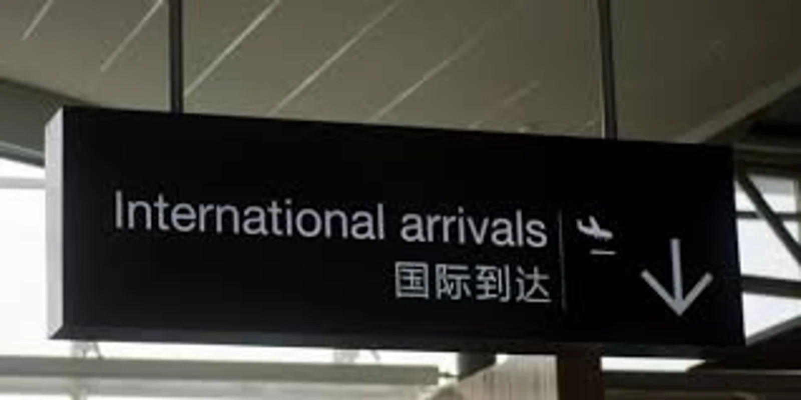 疫情下，新西兰多项移民数据创纪录，还有一项首次出现正数！