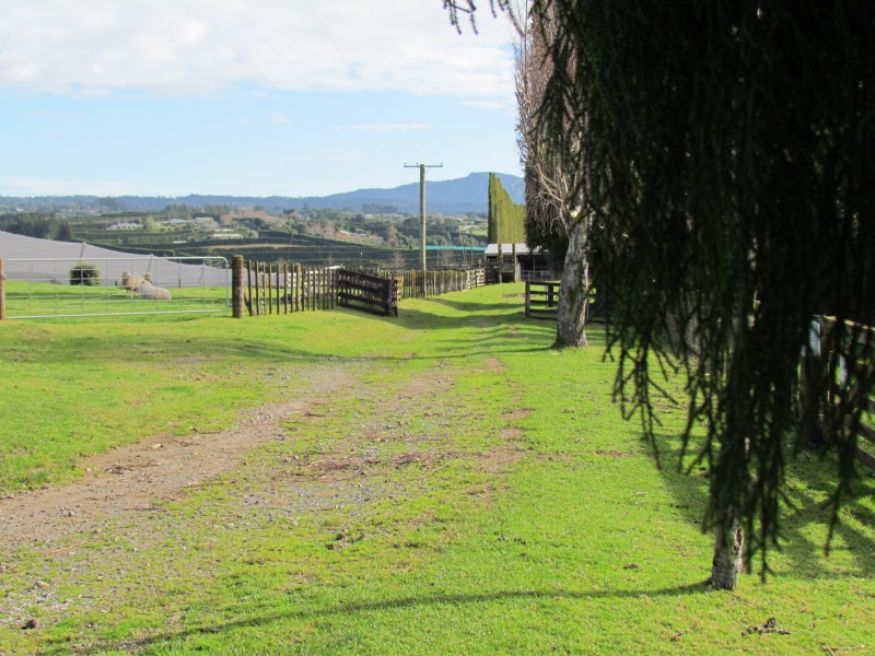 402 Youngson Road, Whakamarama, Bay Of Plenty, 0 chambres, 0 salles de bain