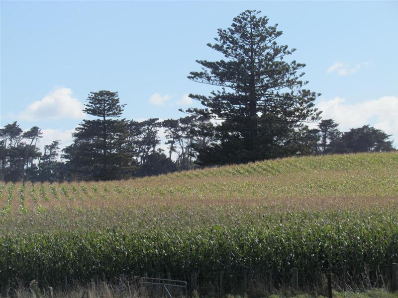 Kakaramea Road, Patea, South Taranaki, 0 phòng ngủ, 0 phòng tắm