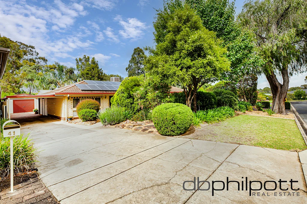 41 Niemeyer Crescent, St Agnes, SA 5097