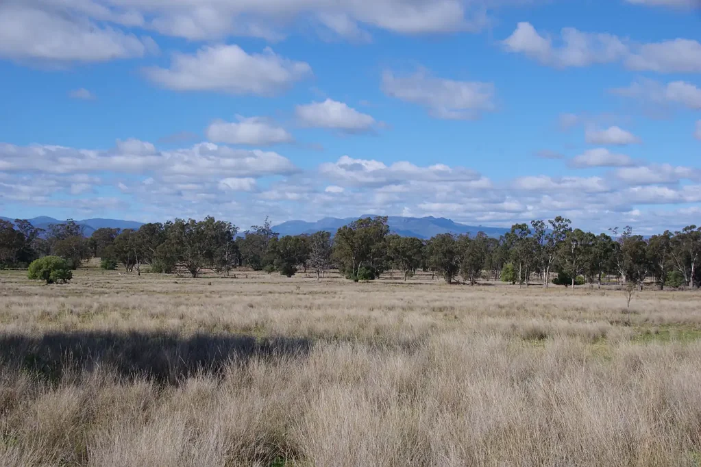 Narrabri Rural Lifestyle with Proven Production