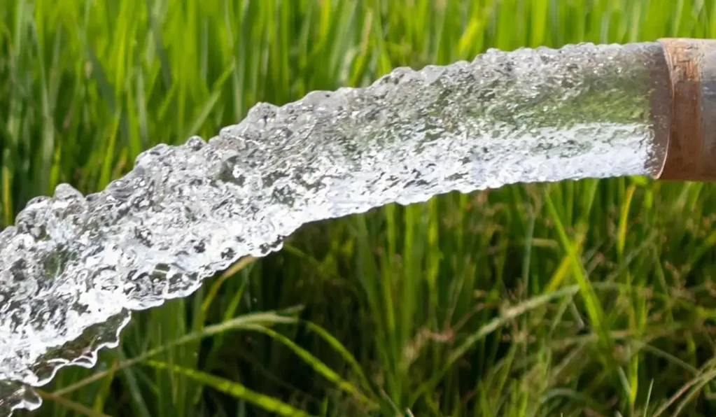Boodua Water Harvesting Licence For Sale!