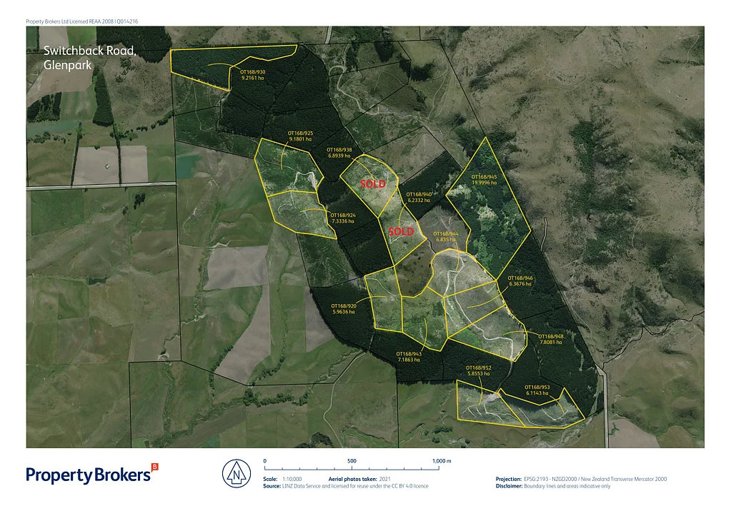 Palmerston  Forestry investment, all planted, ready to go!