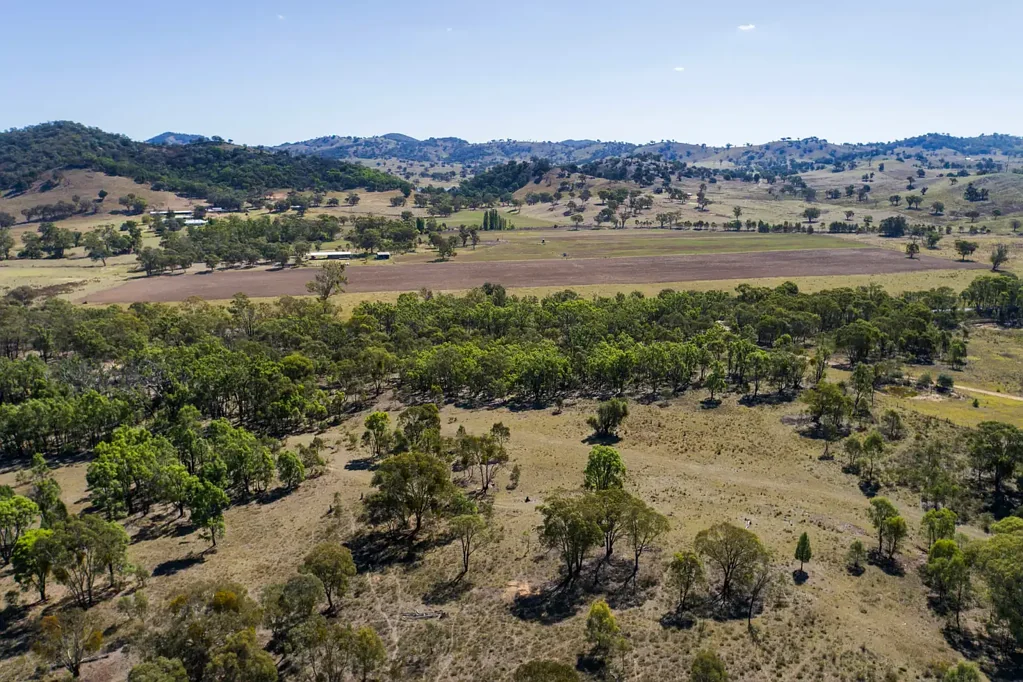 Mudgee  Rural Living Awaits
