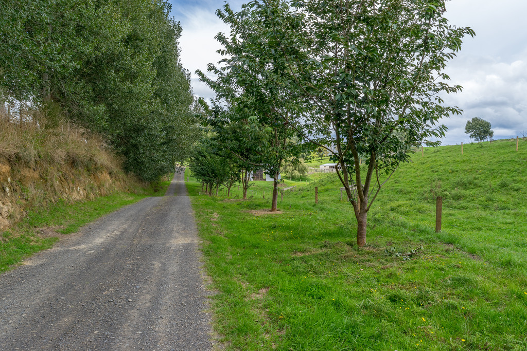 428 Whatauri Road, Wharepapa South, Waipa, 0 Bedrooms, 0 Bathrooms