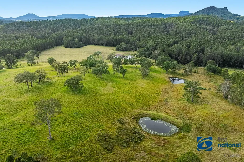 Urbenville Scenic Lifestyle Property in the Heart of the Border Ranges