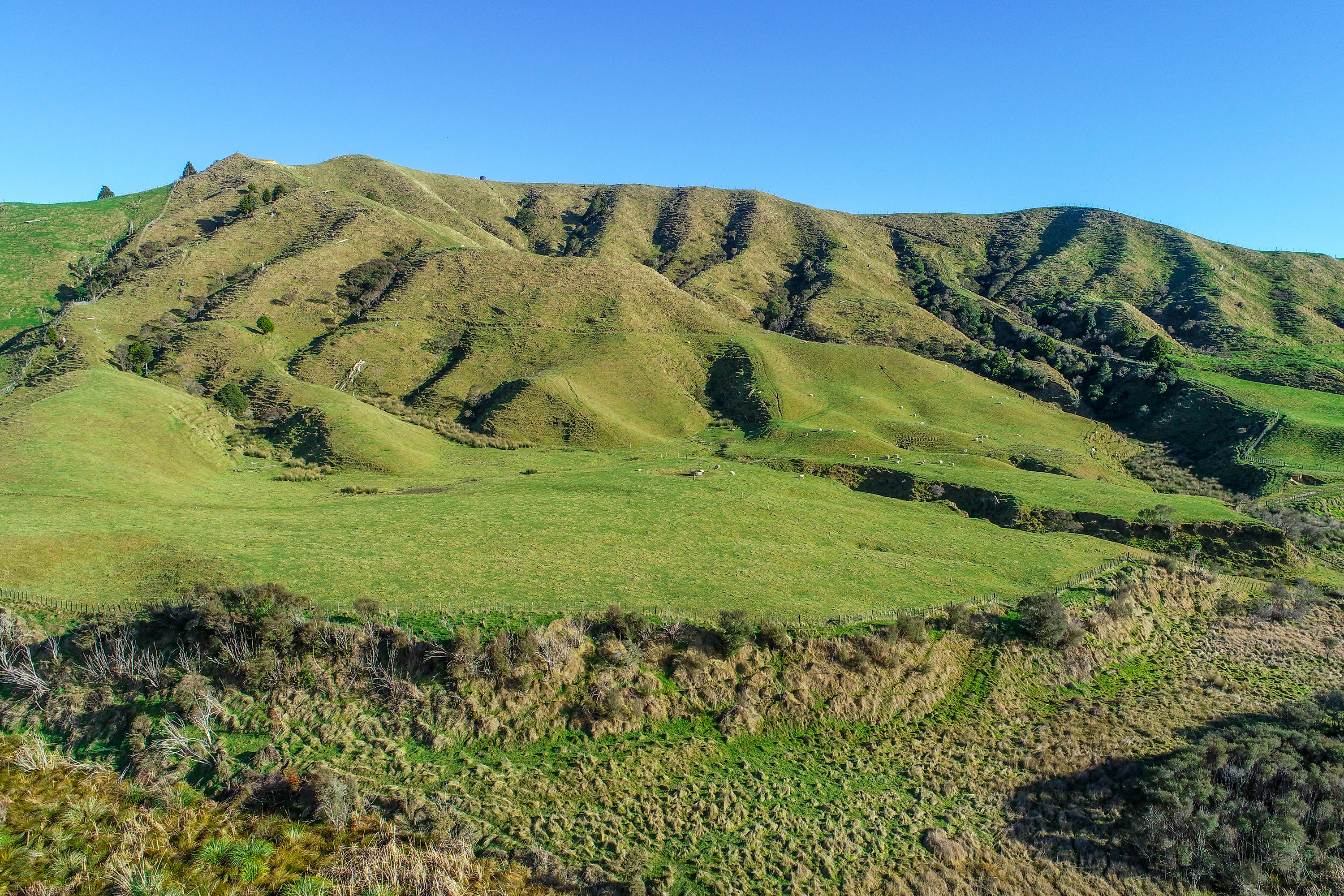 State Highway 4, Owhango, Ruapehu, 0 ਕਮਰੇ, 1 ਬਾਥਰੂਮ, Lifestyle Section