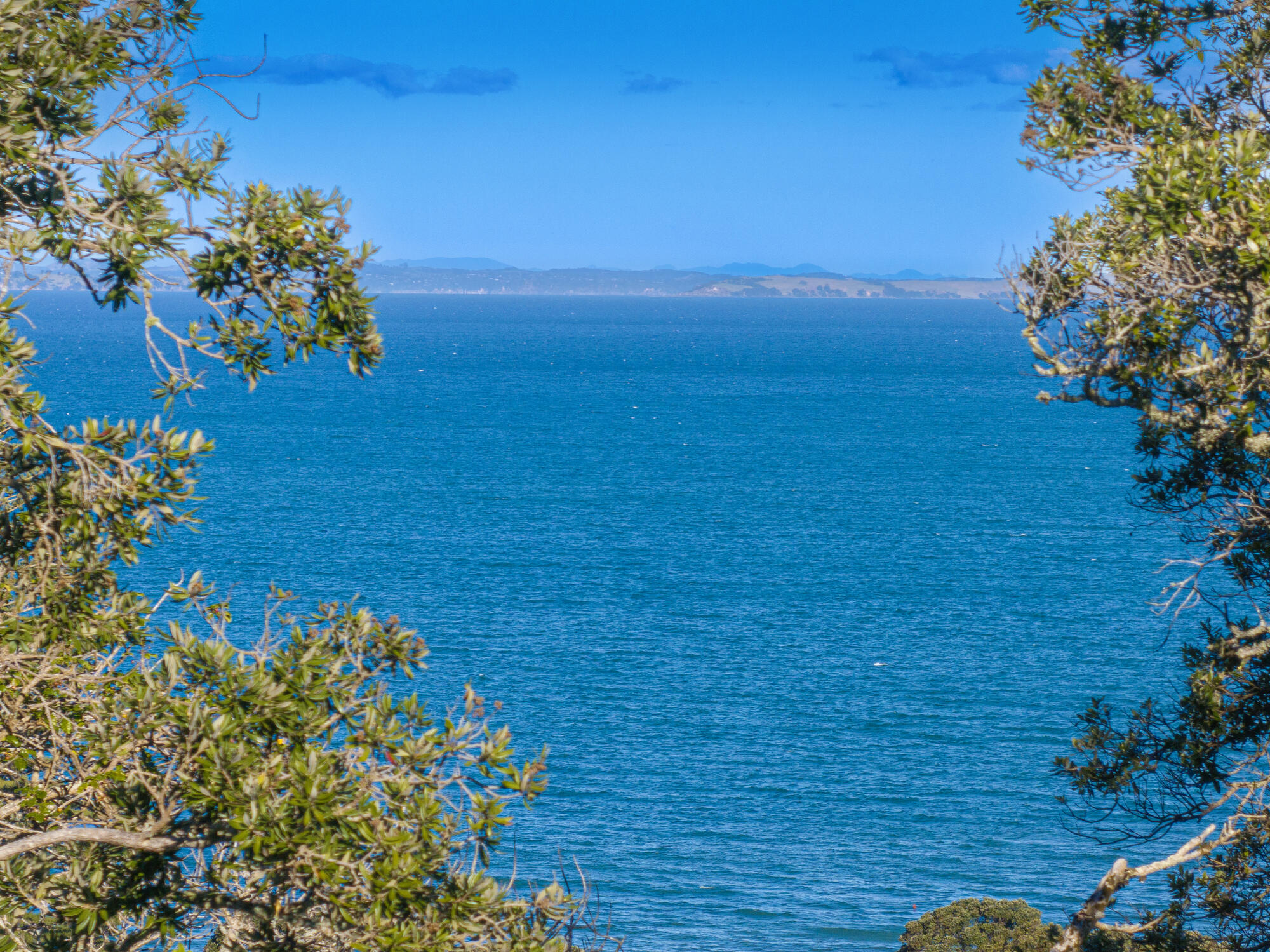 6 Cochrane Avenue, Arkles Bay, photo 10