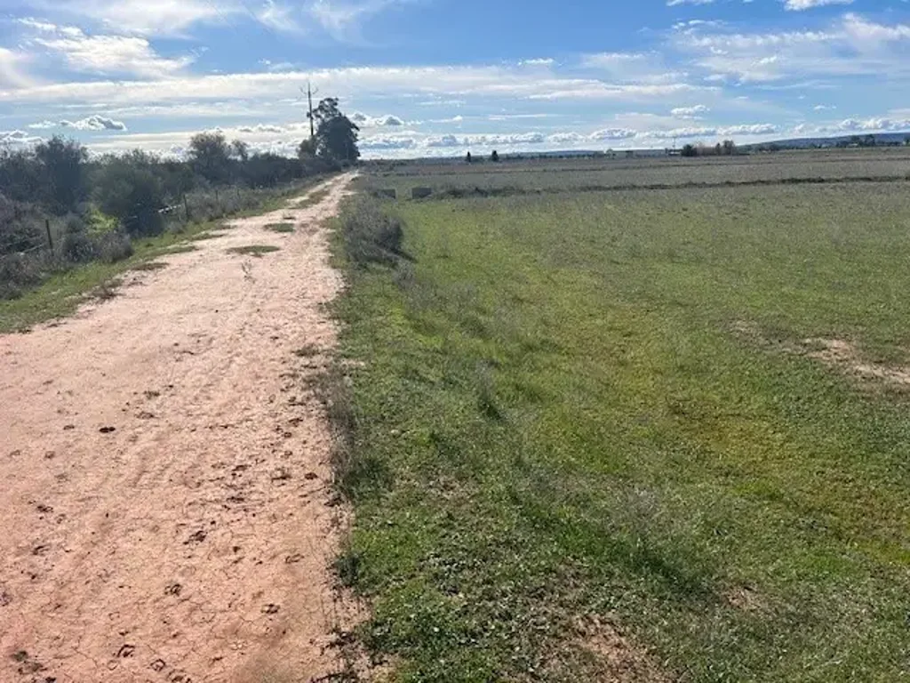 Leeton Lasered Irrigation Farm