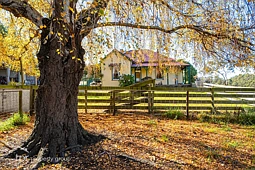 41 Narrows Road, Strathblane