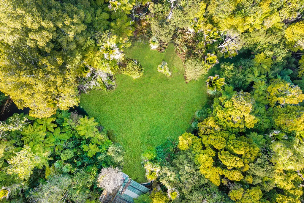 Waitakere Caton Road Bush Hideaway