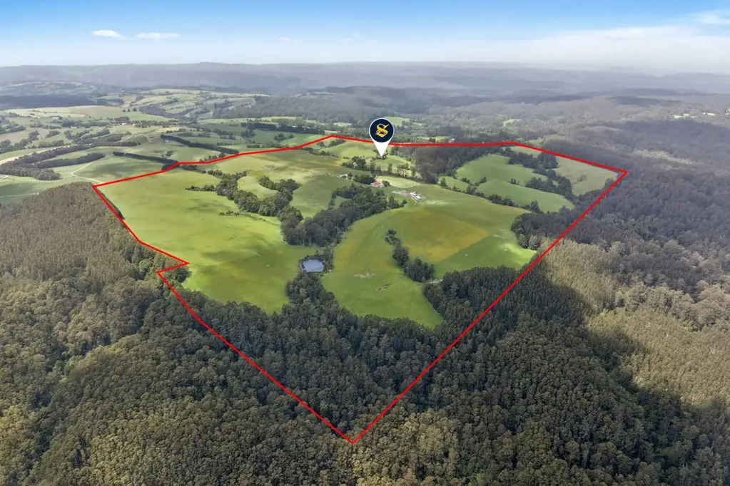 Weeaproinah Jewel of the Otways