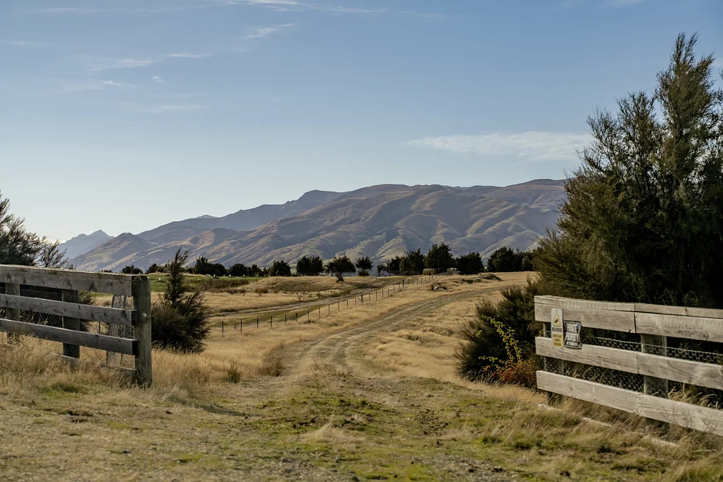 Wanaka Surrounds Paradise Found