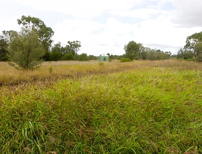 'Katoota East' 15130 Carnarvon Highway, St George, South West, 7 rūma, 4 rūma horoi, Lifestyle Property