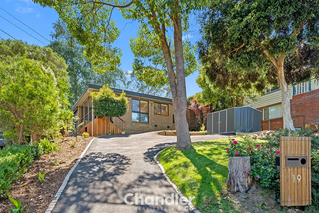 19 Bellbird Street, Belgrave, VIC 3160