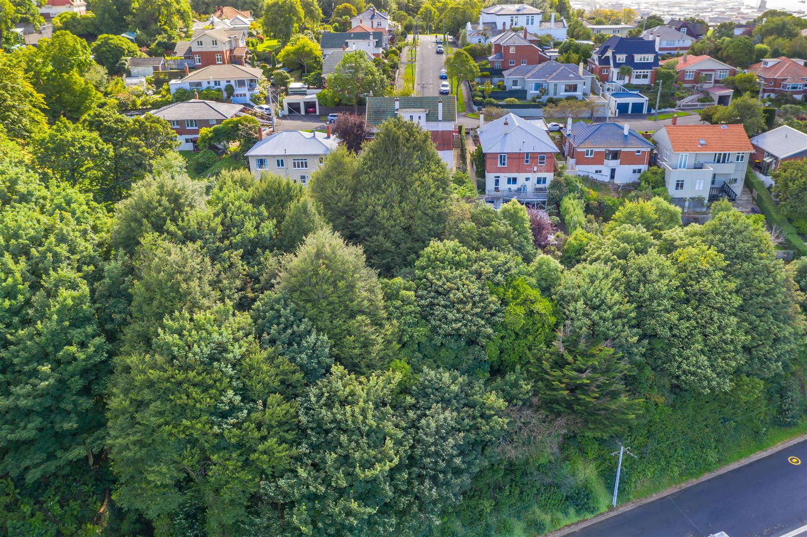 20a Mcgeorge Avenue, Mornington, Dunedin, 1房, 0浴