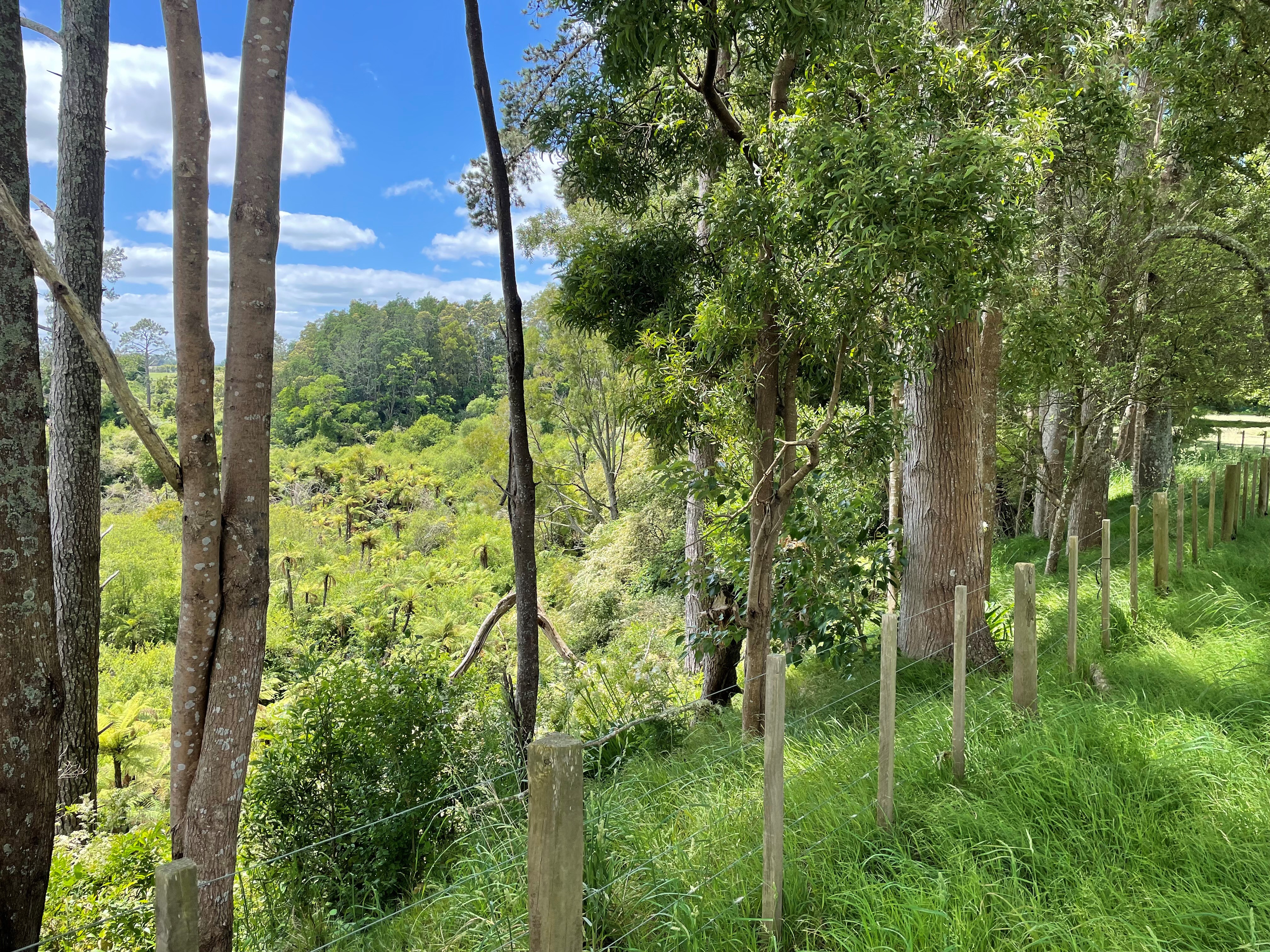 126e Woodcock Road, Tamahere, Waikato, 4 phòng ngủ, 0 phòng tắm, Lifestyle Section