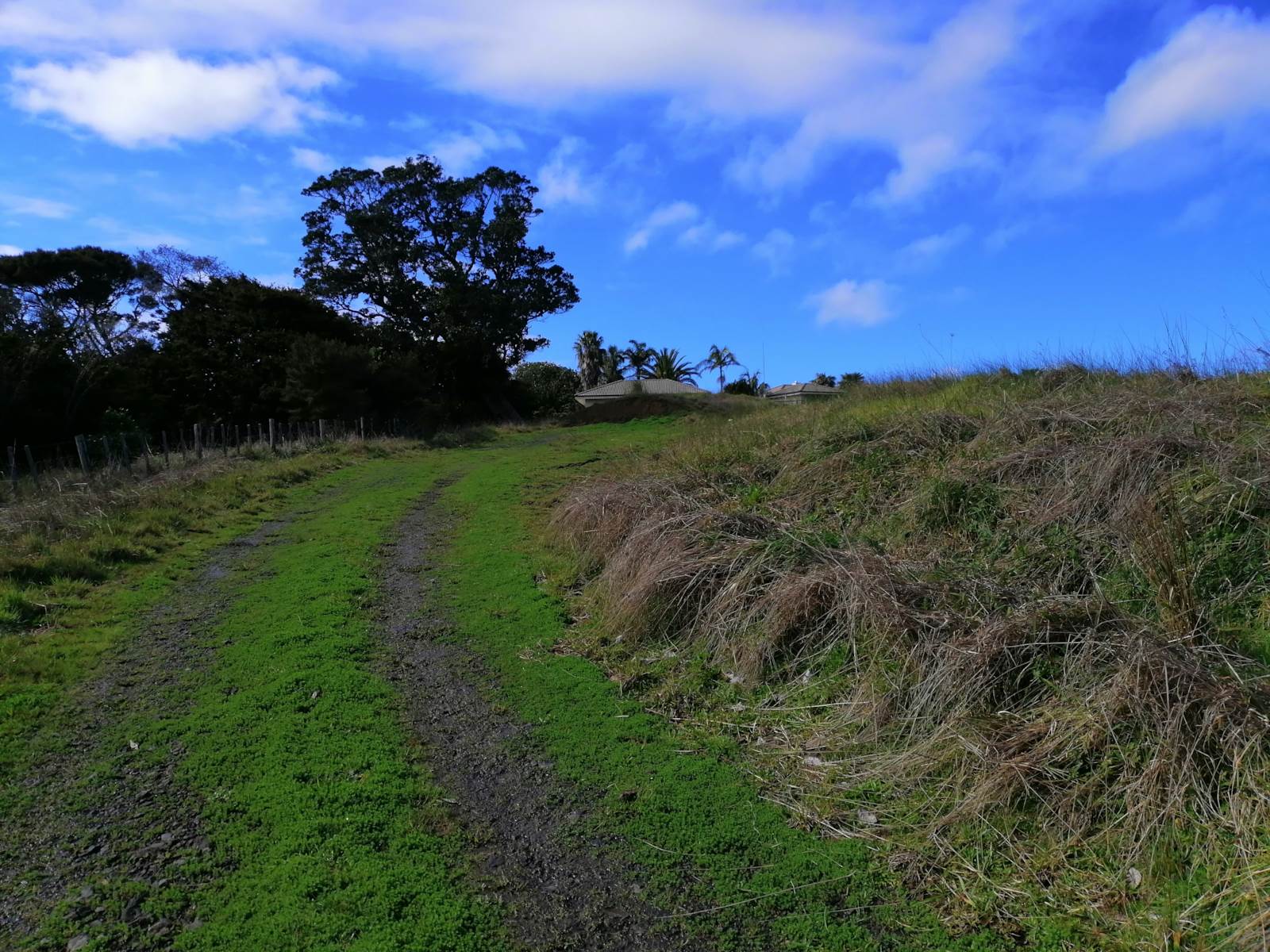 983a Hibiscus Coast Highway, Waiwera, Auckland - Rodney, 4 phòng ngủ, 0 phòng tắm