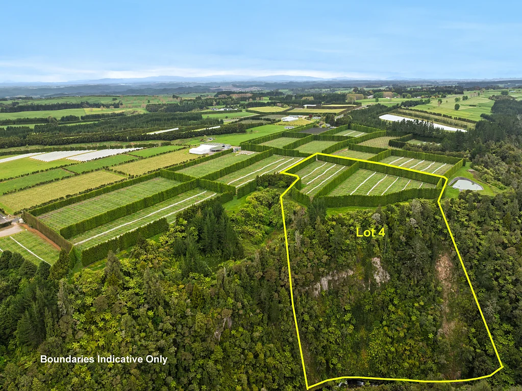 Lot 4/1010 Te Matai Road, Te Ranga, Western Bay of Plenty, Bay of Plenty