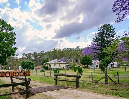 1442 Mount Hector Road, Boyne Valley, Fitzroy, 3 침실, 2 욕실, Lifestyle Property