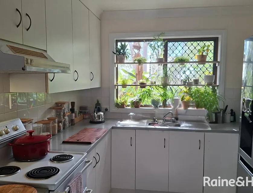 13/8 Nothling Street, New Auckland, Fitzroy, 2房, 1浴, House