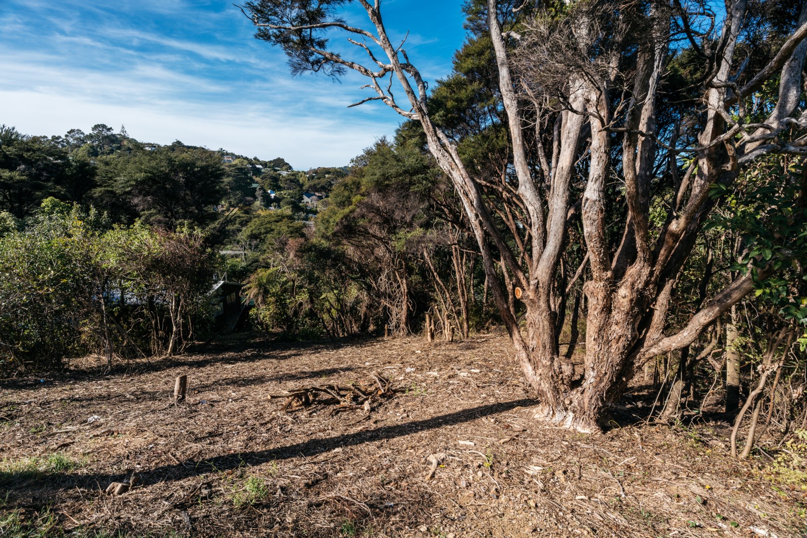 41 Te Toki Road, Ostend, Auckland, 0房, 0浴