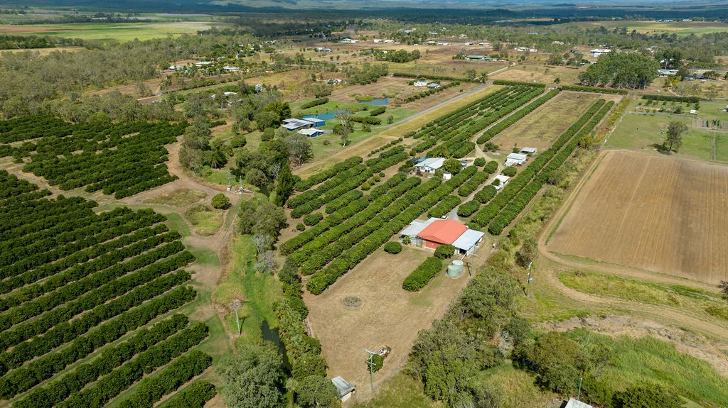 209 MALONE RD, MAREEBA QLD 4880, 0 રૂમ, 0 બાથરૂમ, Lifestyle Property