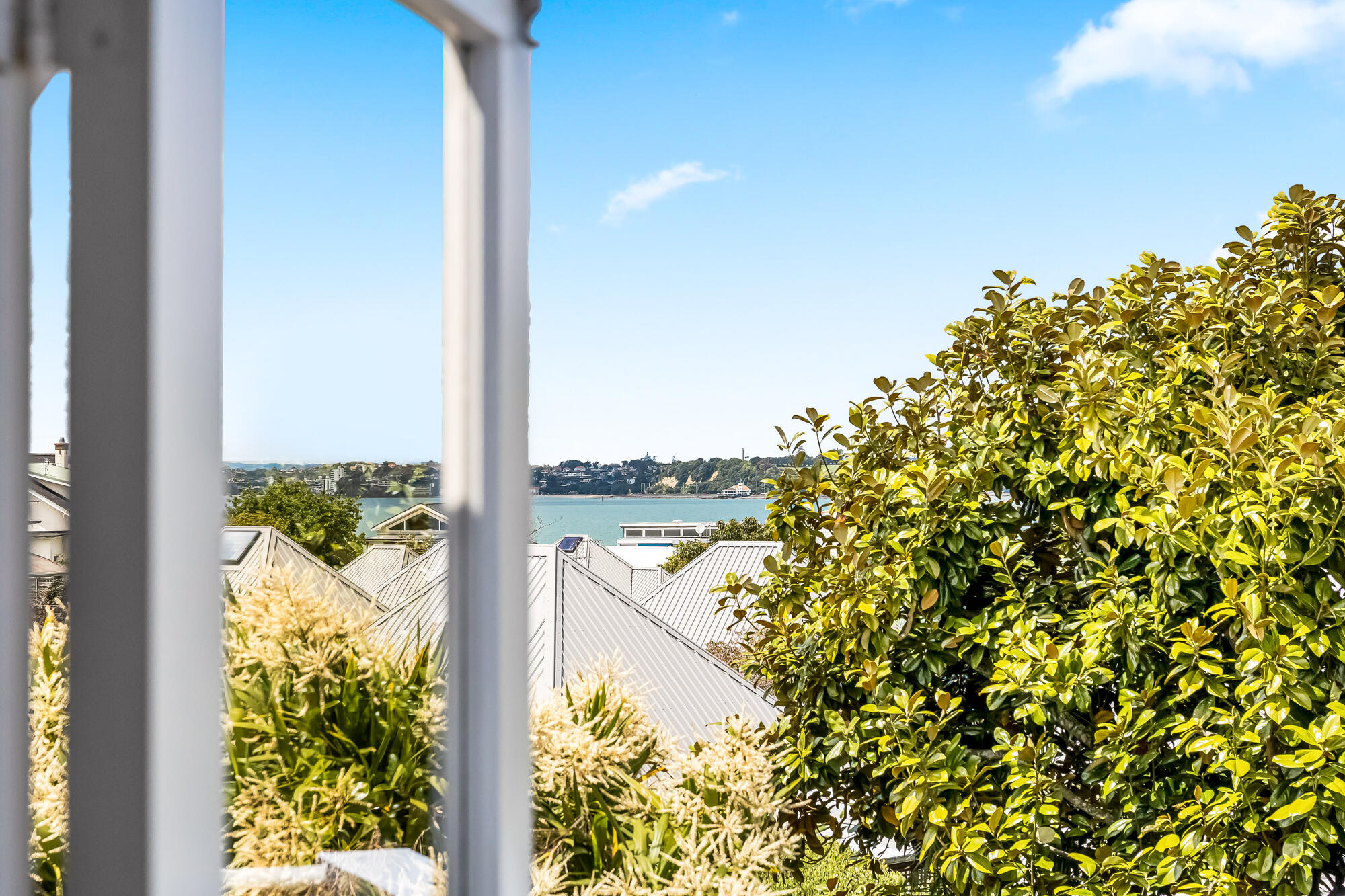14 Domain Street, Devonport, photo 5