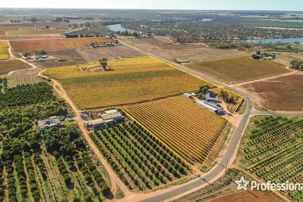 Red Cliffs  17 Acre Table Grape Vineyard with Family Home