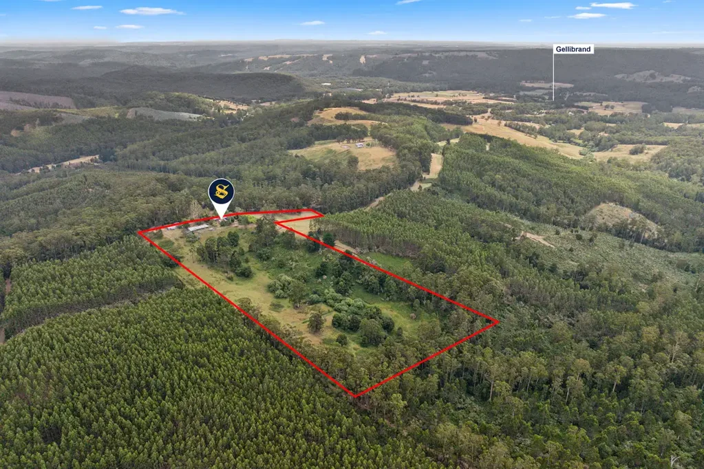 445 Old Beech Forest Road, Gellibrand, VIC 3239