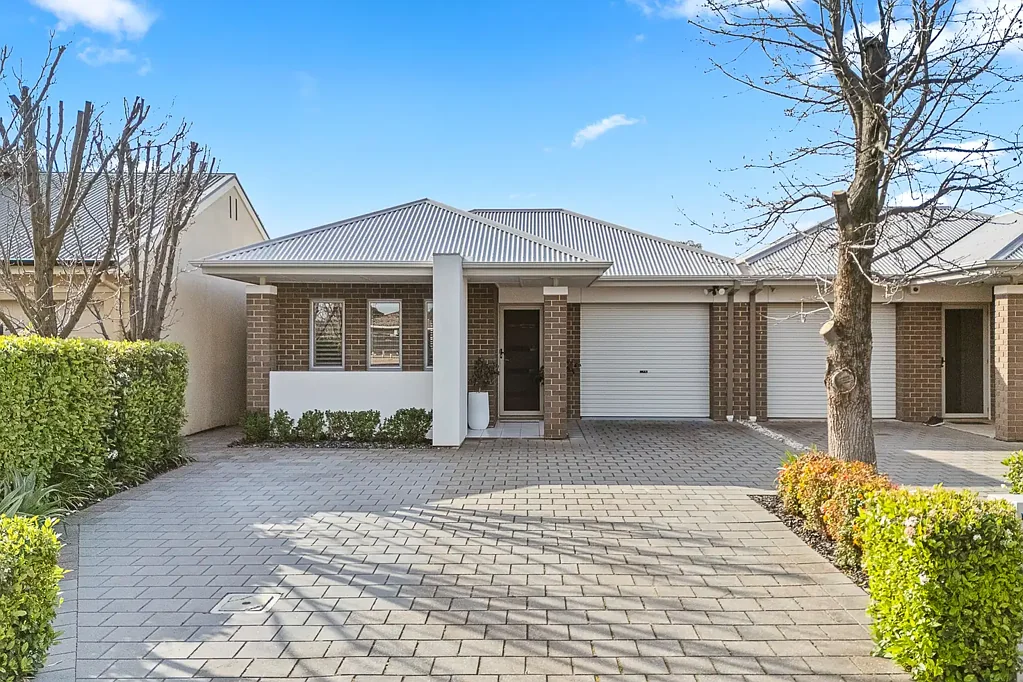 52B Dudley Avenue, Daw Park, SA 5041