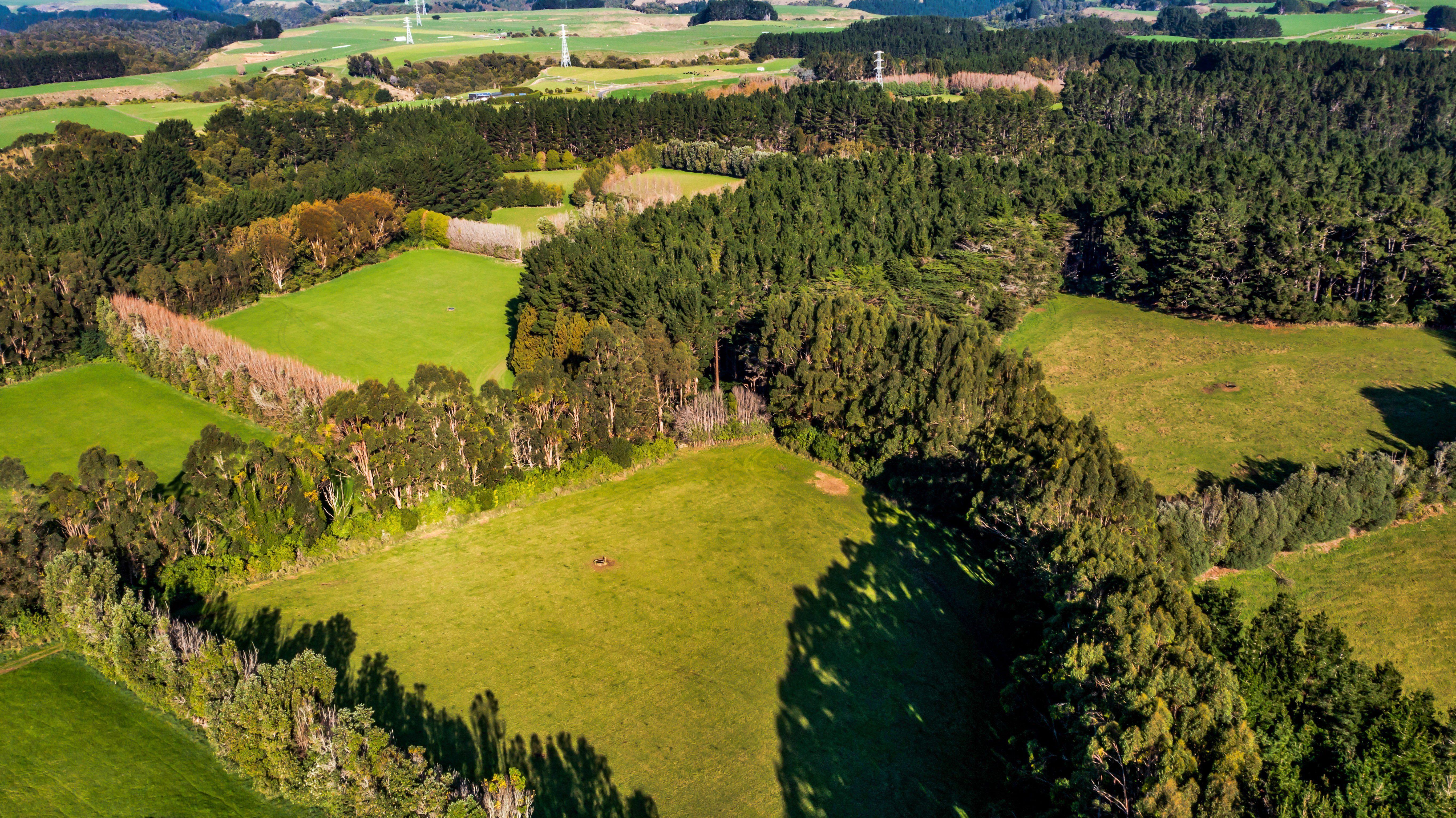 709 Ingahape Road, Ohangai, South Taranaki, 0房, 0浴, Grazing