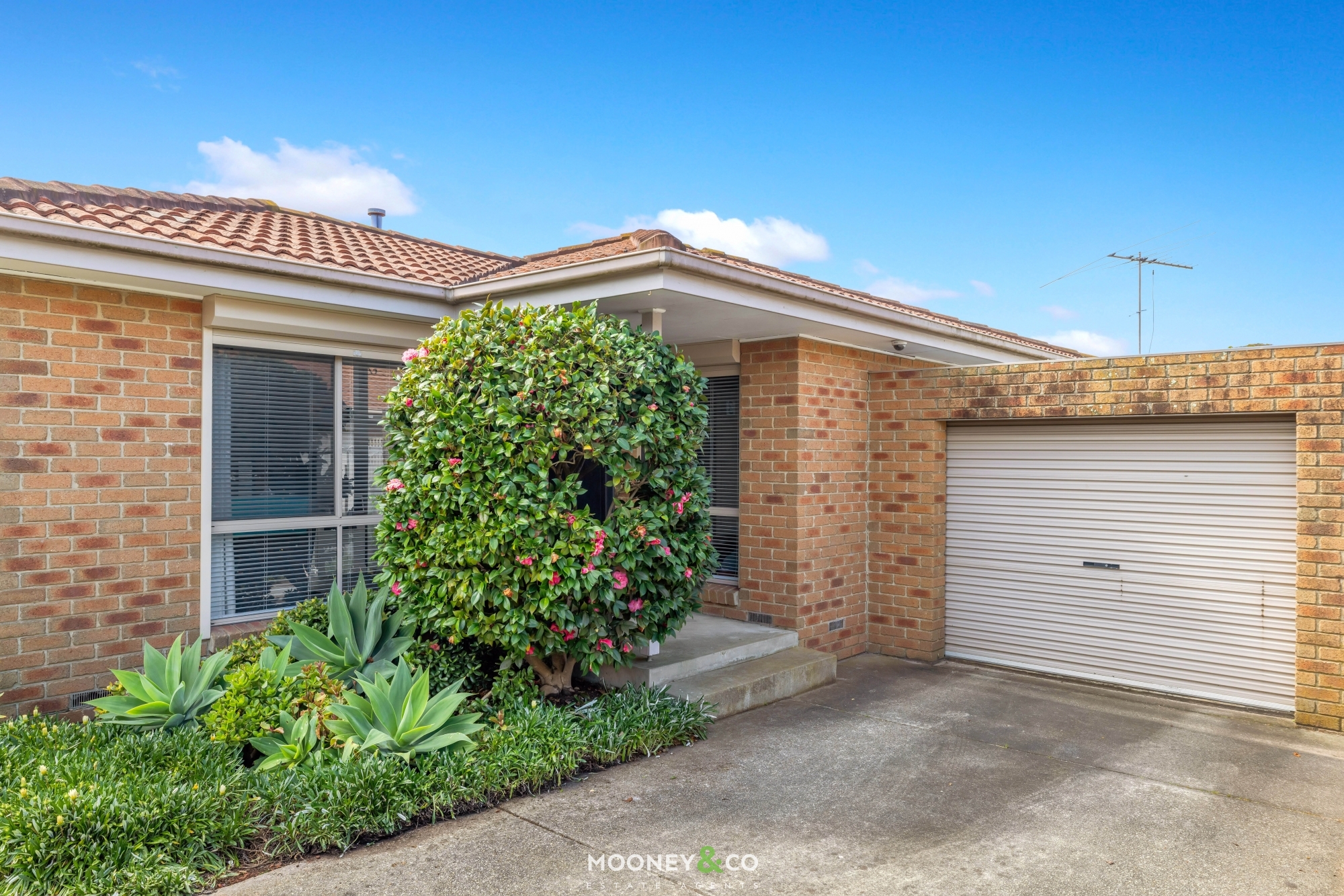 UNIT 3 22-24 DUFF ST, CRANBOURNE VIC 3977, 0 Bedrooms, 0 Bathrooms, Unit